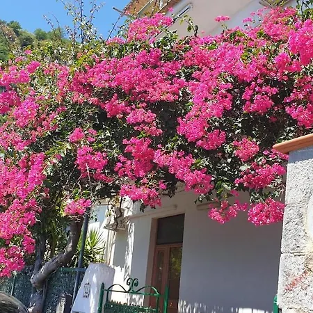 Villa Grace & Depandances Amalfi