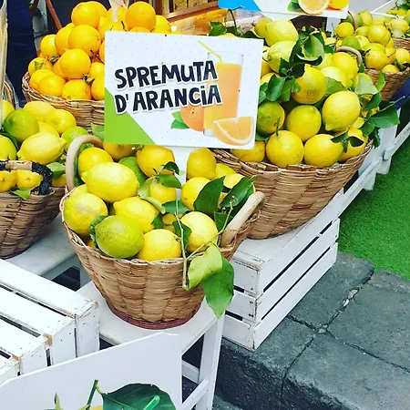 Aurora In Grace Lejlighed Amalfi